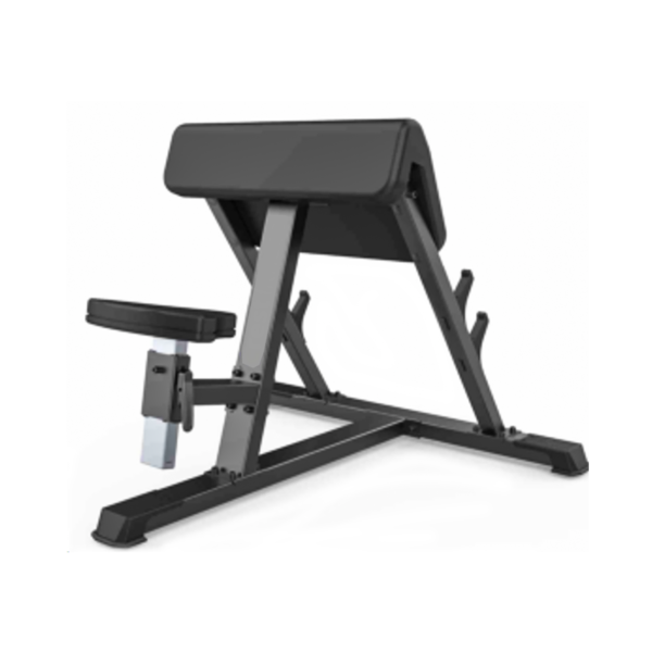 SEATED PREACHER CURL - GALAXY