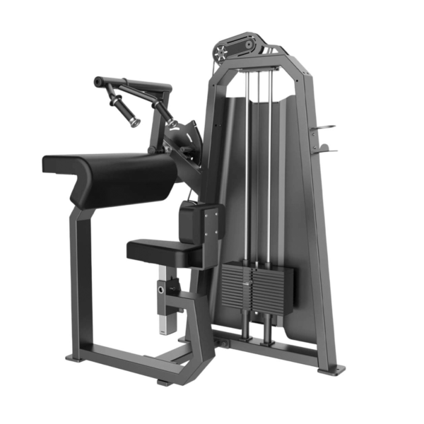 Seated Tricep-Flat