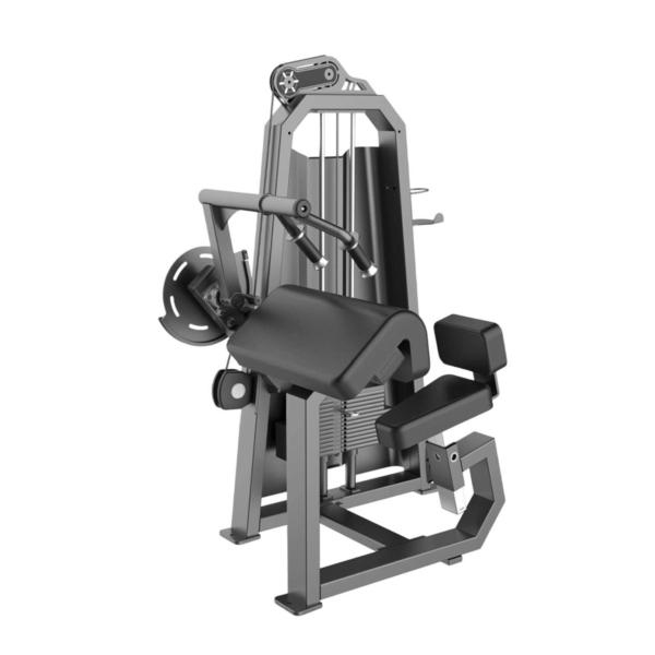Triceps Extension