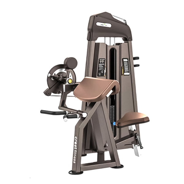 Bicep Curl + Triceps Extension