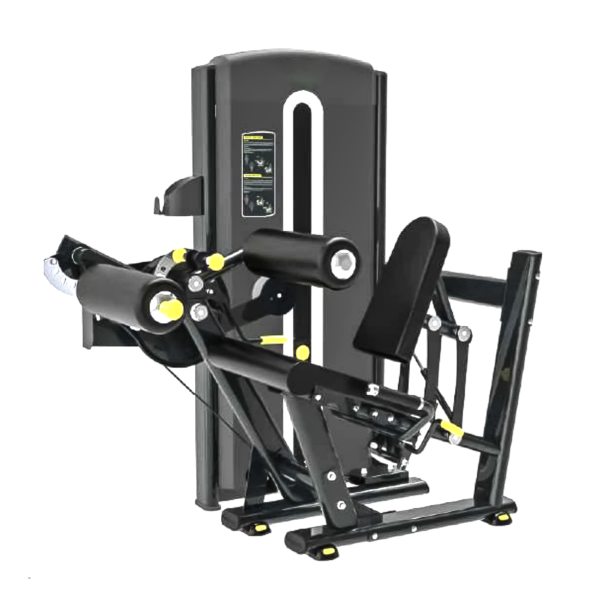 Leg Curl + Leg Extension