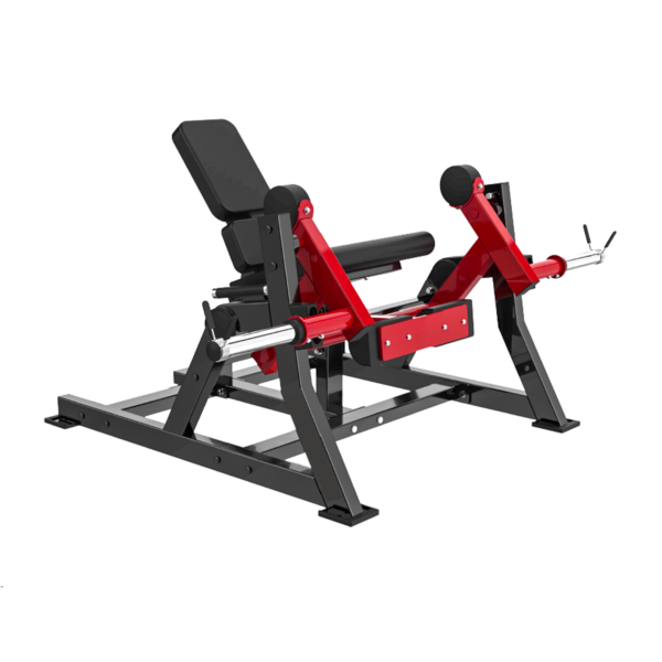 Seated Leg Extension