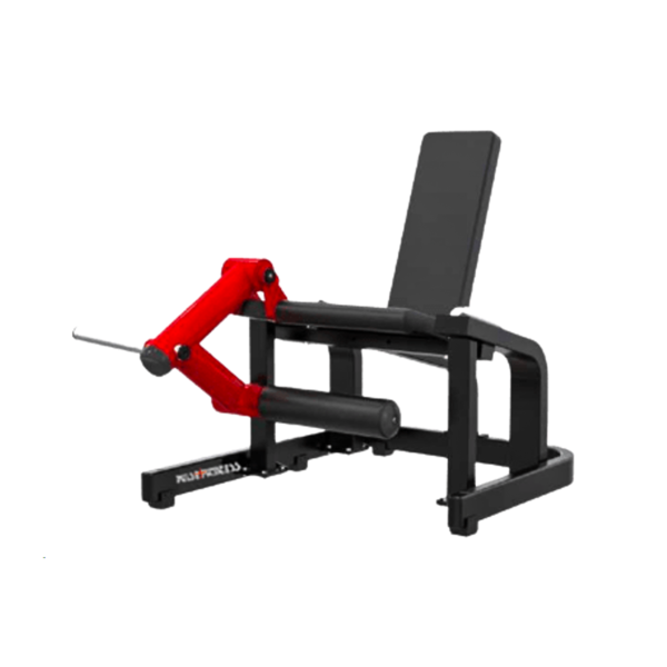 Seated Leg Extension
