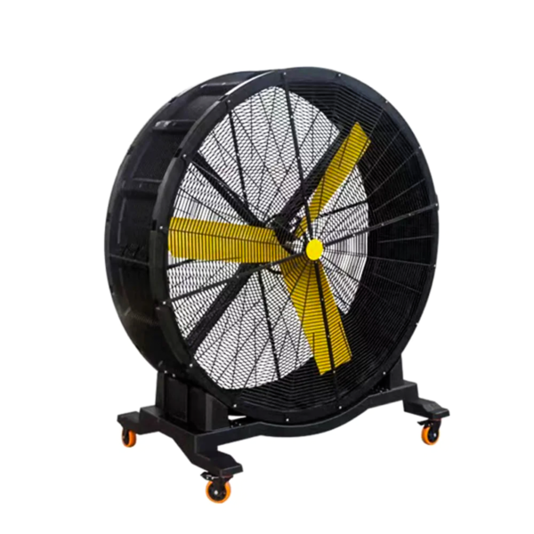 GYM FAN