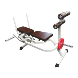 Dual AB Crunch [Indian]