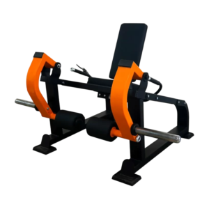 Leg Extension