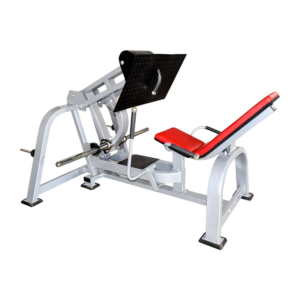 Leg Press