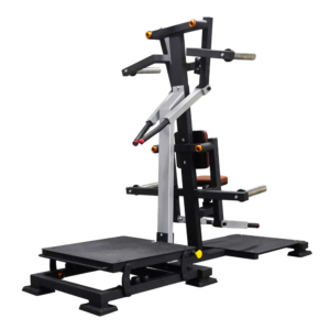 Standing lateral Raise