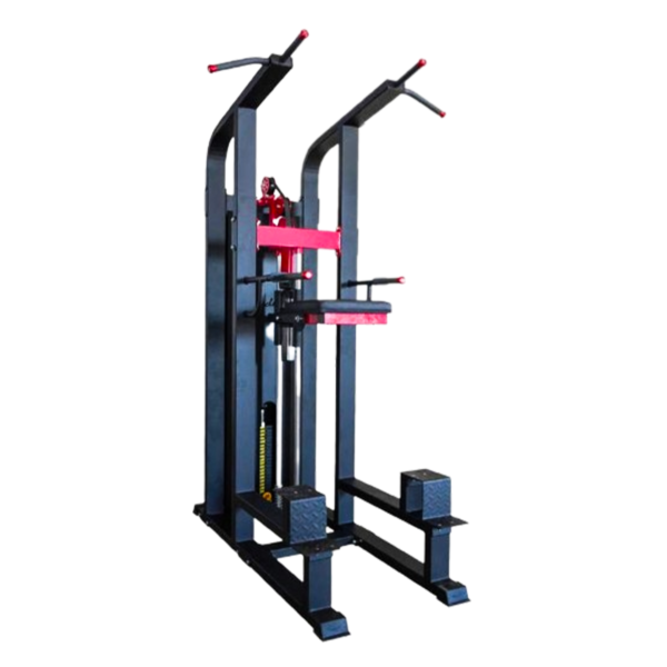 Assisted Chin-up Dip Dual