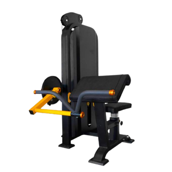 Bicep Triceps Dual