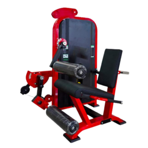 Leg Extension/ Seated Leg Curl Dual
