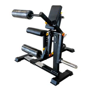 Leg Extension / Seated Leg Curl Dual