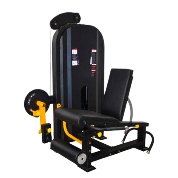 leg Extension/ Prone Leg Curl