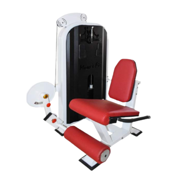 Leg Extension