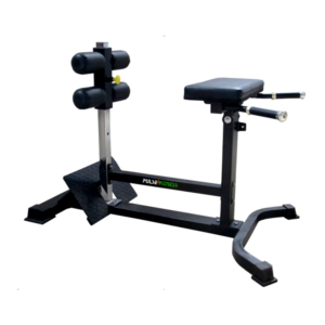 HYPER EXTENSION WITH ROMAN CHAIR