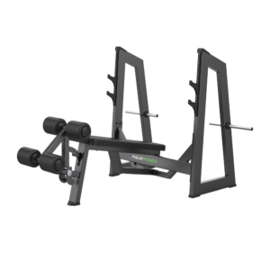 OLYMBIC DECLINE BENCH PRESS- GALAXY
