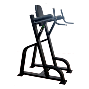 VERTICAL KNEE RAISE