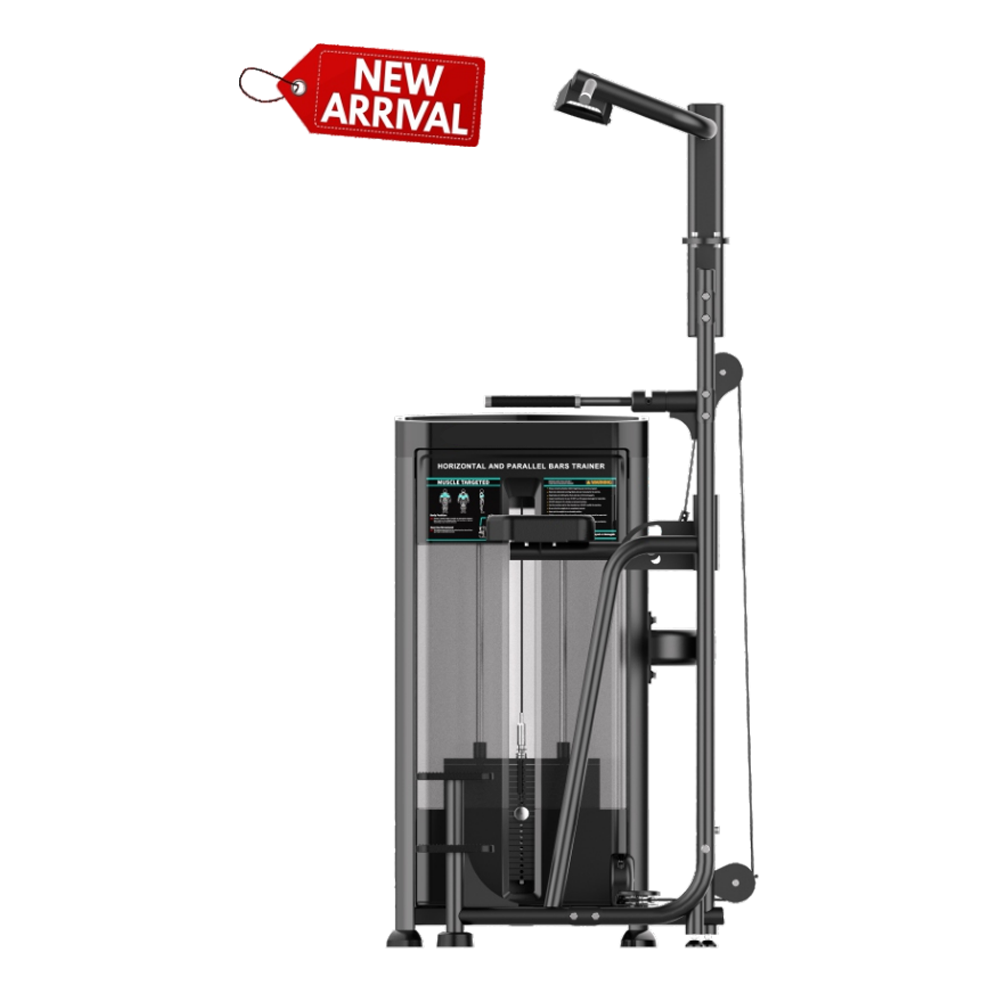 WEIGHT ASSISTED CHIN + DIP