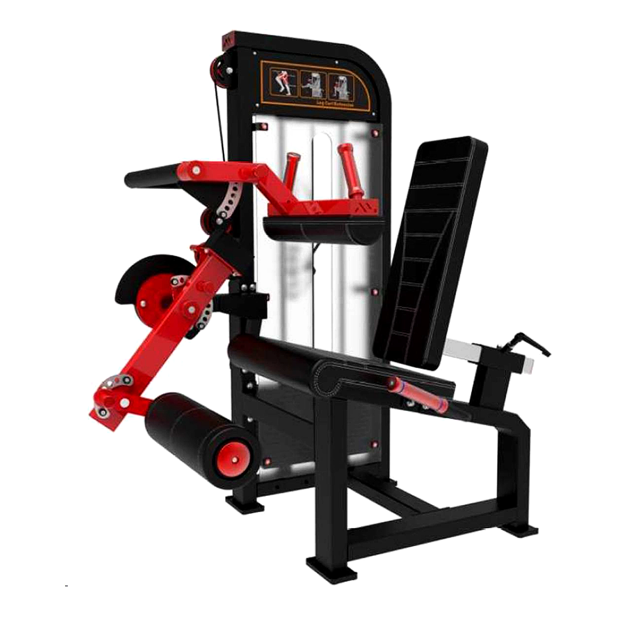 Leg Curl/Leg Extension