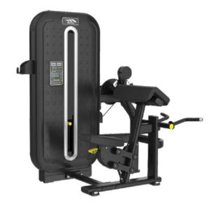 BICEP CURL / TRICEP EXTENSION