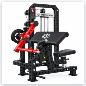 BICEPS CURL