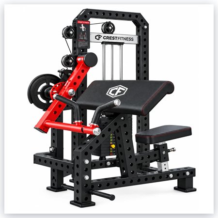 BICEPS CURL