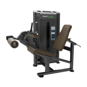 Seated Leg Curl