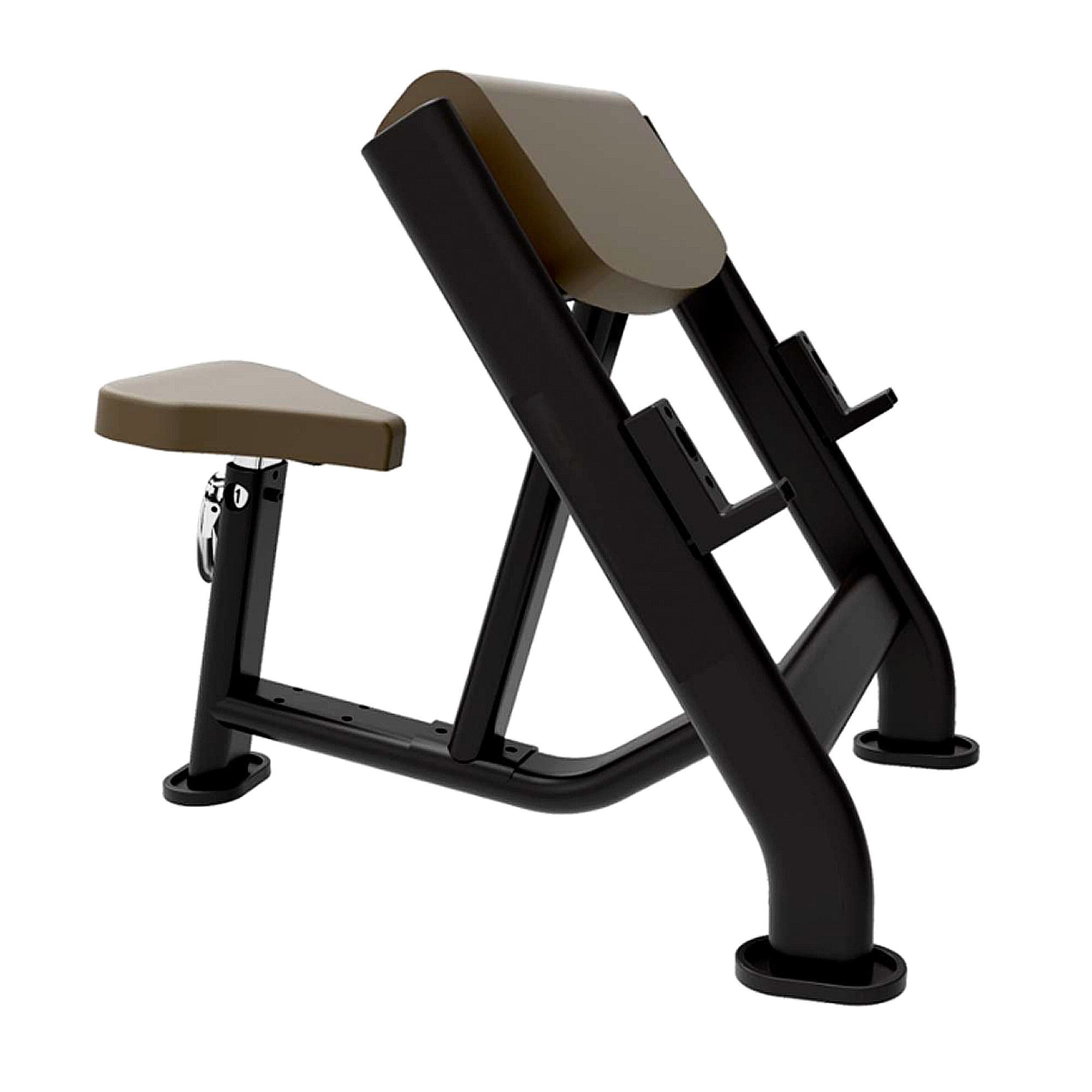 Seated Preacher Curl