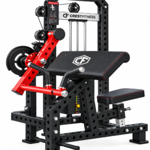 BICEPS CURL