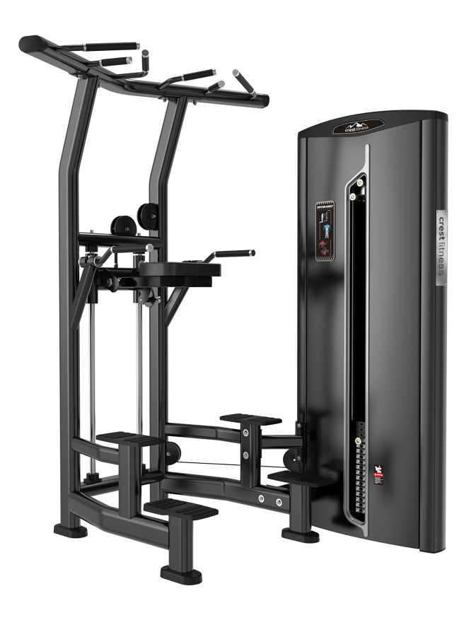 WEIGHT ASSISTED CHIN DIP