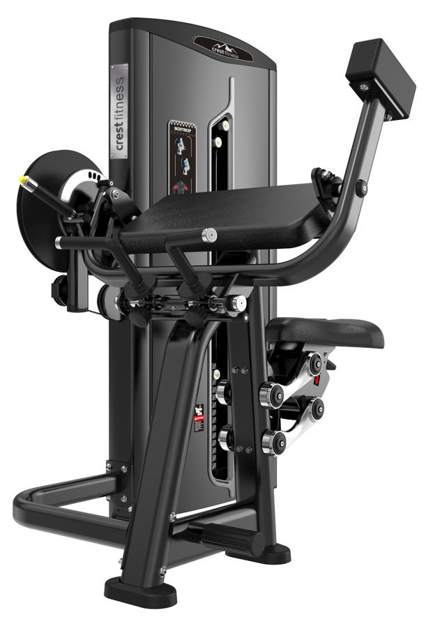 BICEPS CURL + TRICEPS EXTENSION