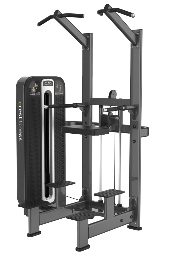 WEIGHT ASSISTED CHIN + DIP TS 06