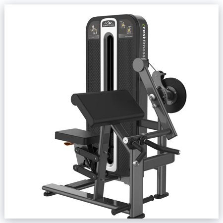 BICEPS CURL TRICEPS EXTENSION