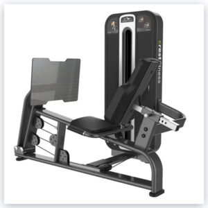 LEG PRESS TS 19