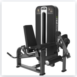 PRONE LEG CURL EXTENSION TS 12