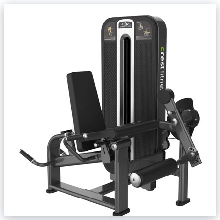 PRONE LEG CURL EXTENSION TS 12