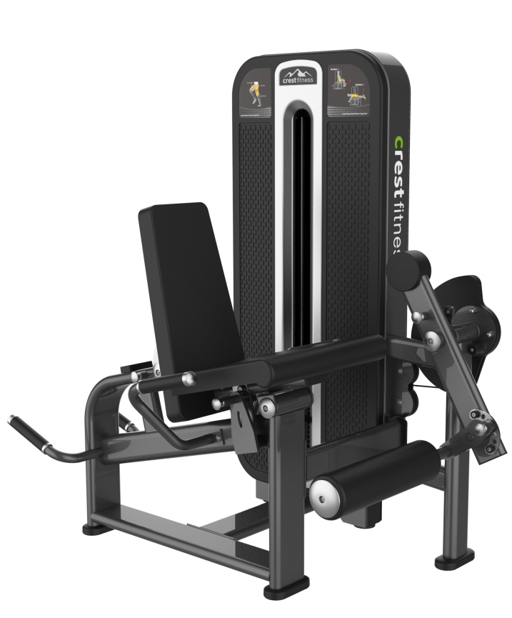 PRONE LEG CURL + EXTENSION TS 12