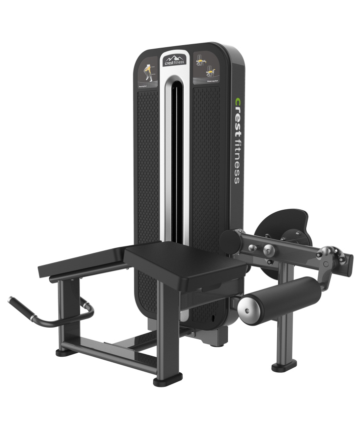 PRONE LEG CURL TS 14