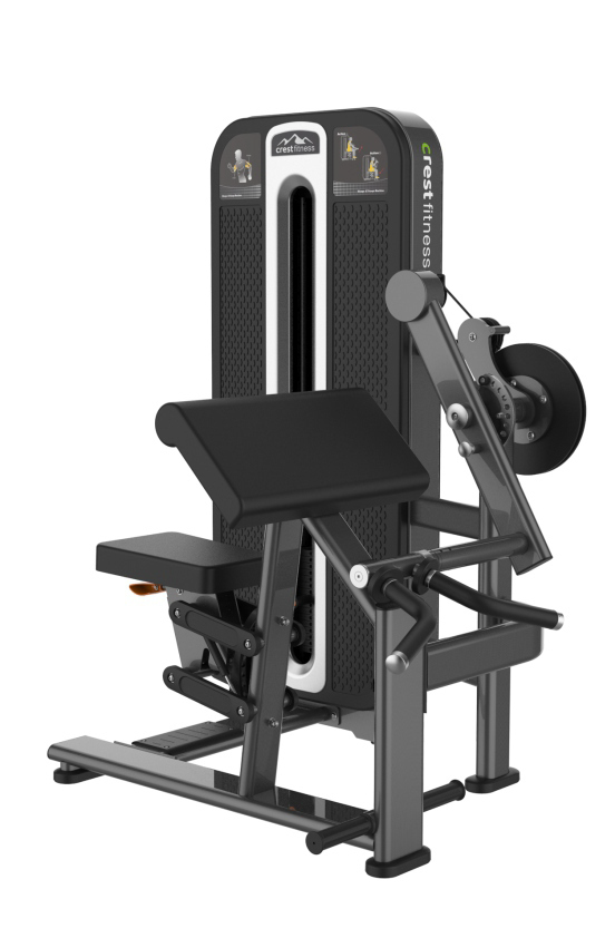 BICEPS CURL + TRICEPS EXTENSION TS 15