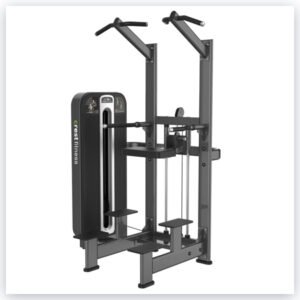 WEIGHT ASSISTED CHIN DIP TS 06