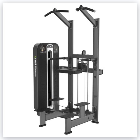 WEIGHT ASSISTED CHIN DIP TS 06