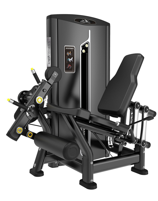 LEG EXTENSION