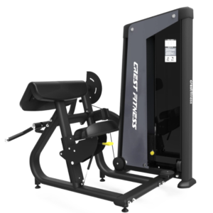 BICEPS CURL