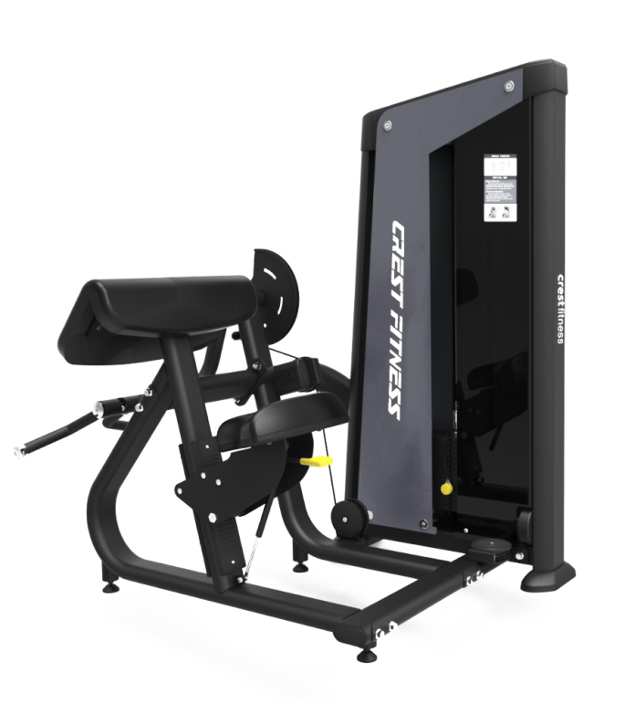 BICEPS CURL